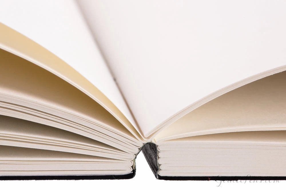 Apica Premium CD A5 Notebook - Black, Blank - Image 5