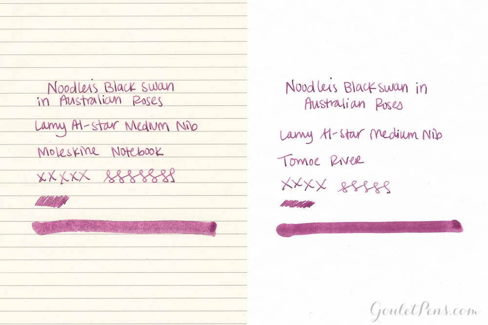 Noodler's Black Swan In Australian Roses - 3oz Bottled Ink - Image 11