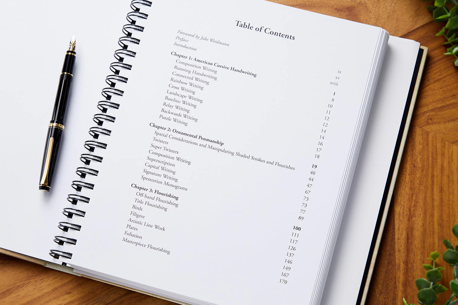 Sull's Manual Of Advanced Penmanship - Image 3