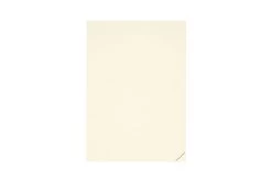 Midori MD Notebook Journal A5 Codex - Dot Grid