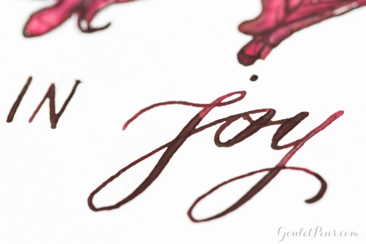 Diamine Oxblood - 30ml Bottled Ink - Image 16