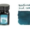 Monteverde Iced Cookie - 30ml Bottled Ink