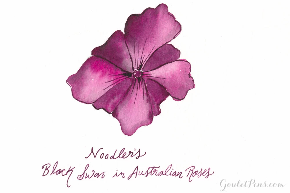 Noodler's Black Swan In Australian Roses - 3oz Bottled Ink - Image 5
