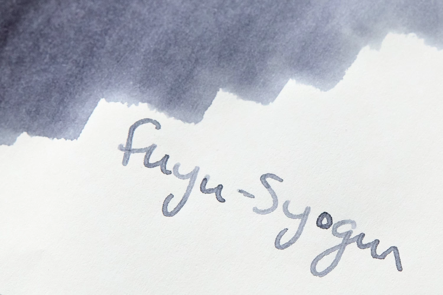 Pilot Iroshizuku Fuyu-syogun - Ink Cartridges - Image 2